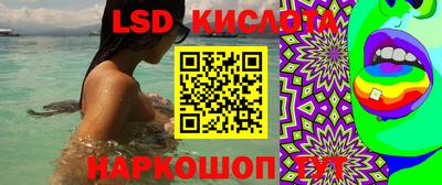 шишки Железногорск