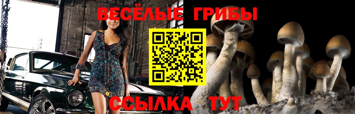 купить   Псилоцибиновые грибы Cubensis  Вход с VPN  Павловский Посад 