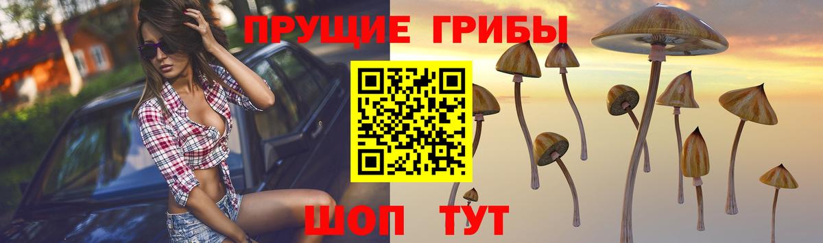 ГАШИШ Павловский Посад